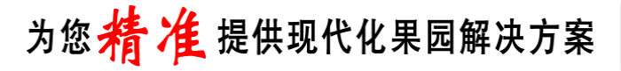 ʱ[й]ٷվ