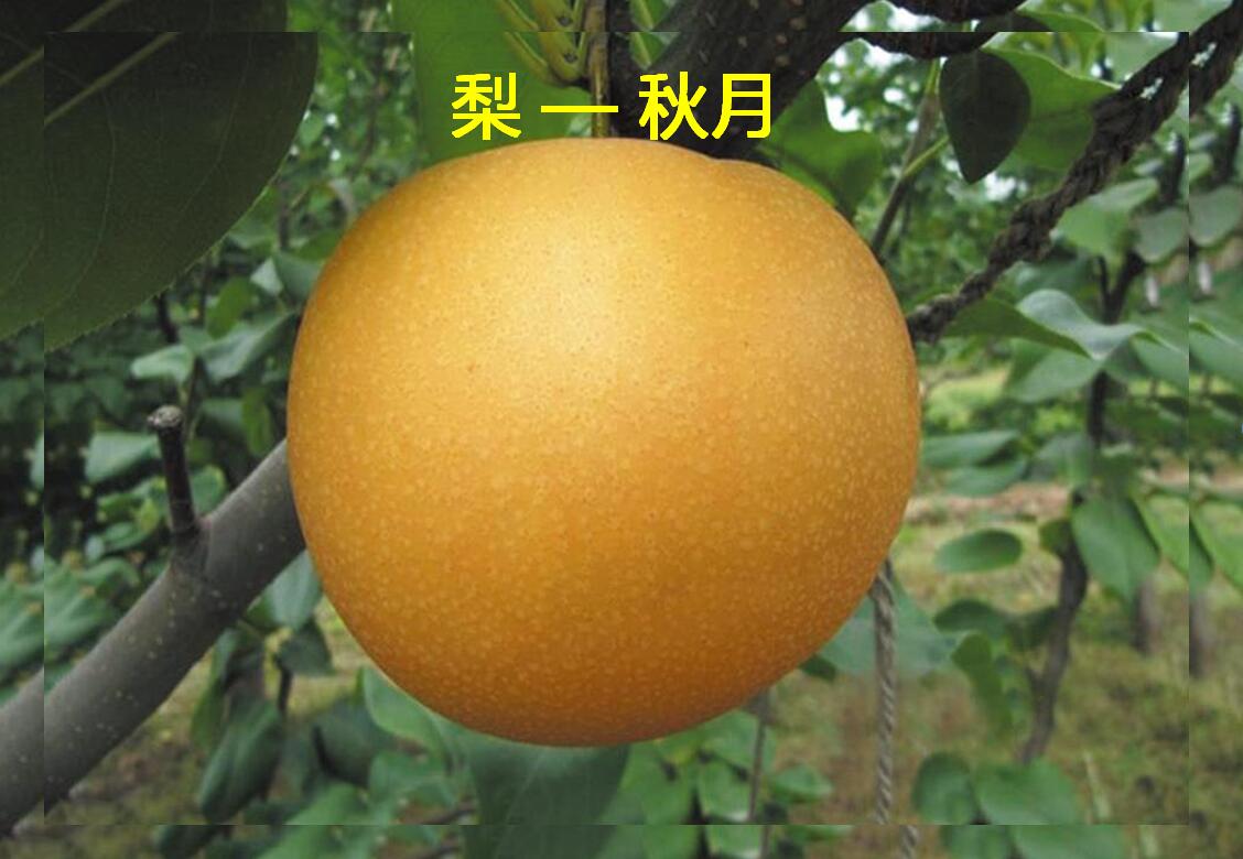 ʱ[й]ٷվ