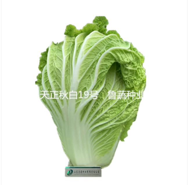 ʱ[й]ٷվ